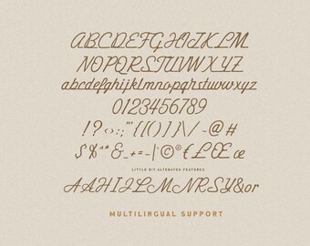 Hustle Trip Monoscriptフォント：Vintage Bold Script - Etsy 日本