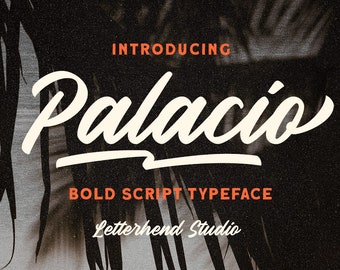 Palacio Bold Script Font: Groovy Retro Typeface