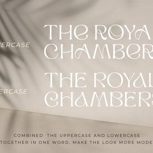The Royal Chambers, Stylish Font, Display Font, Logo Font, Unique Font, Instagram Font, Feminine Font, Chick Font, Girly Font, Modern Font image 6