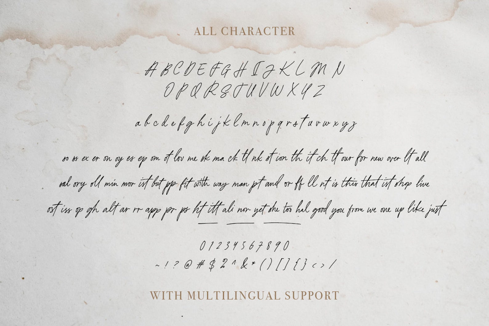 This Reality Handwritten Script Font: Chic Signature Style - Etsy