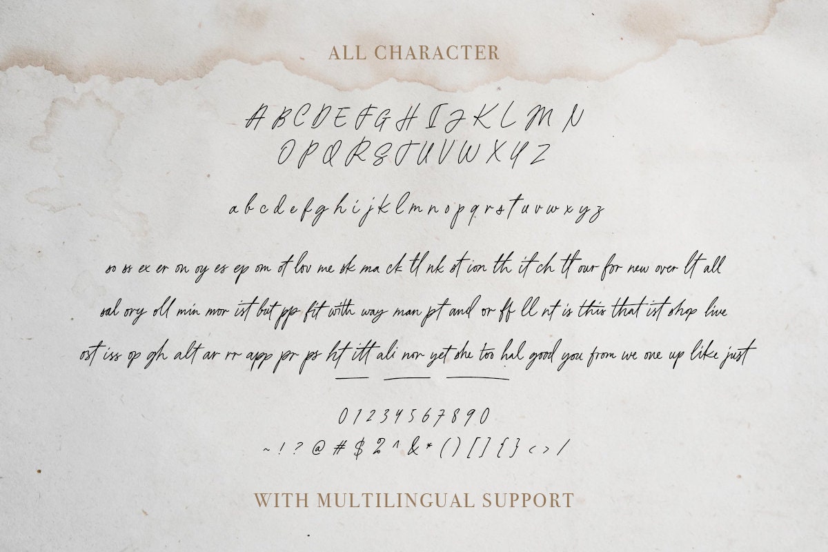 This Reality Handwritten Script Font: Chic Signature Style - Etsy