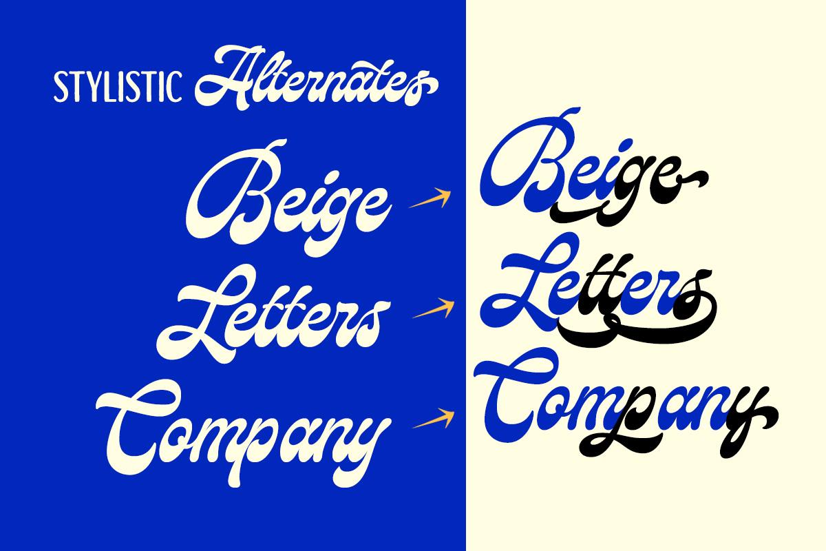 Relgone Retro Script Font: Groovy 60s Calligraphy - Etsy