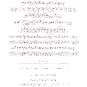 May include: A font chart showing the uppercase and lowercase letters of a cursive font. The font is burgundy in color and has a decorative flourish. The chart also includes numbers, symbols, and accented letters.