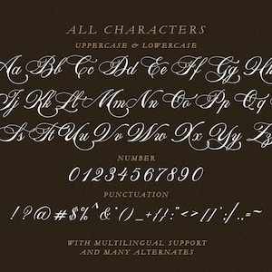 Peut inclure: Un alphabet en police blanche avec des lettres majuscules et minuscules, des chiffres de 0 &agrave; 9 et des signes de ponctuation. La police est de style cursive. Le texte "ALL CHARACTERS", "UPPERCASE & LOWERCASE", "NUMBER" et "PUNCTUATION" sont &eacute;galement inclus dans l'image. Le texte "WITH MULTILINGUAL SUPPORT AND MANY ALTERNATES" est en bas de l'image.