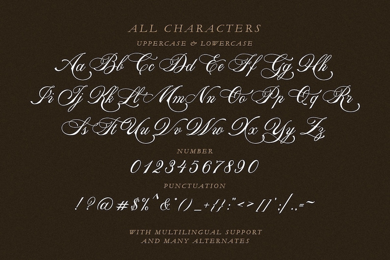 Peut inclure: Un alphabet en police blanche avec des lettres majuscules et minuscules, des chiffres de 0 &agrave; 9 et des signes de ponctuation. La police est de style cursive. Le texte "ALL CHARACTERS", "UPPERCASE & LOWERCASE", "NUMBER" et "PUNCTUATION" sont &eacute;galement inclus dans l'image. Le texte "WITH MULTILINGUAL SUPPORT AND MANY ALTERNATES" est en bas de l'image.