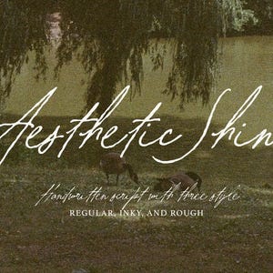 Könnte beinhalten: Eine digitale Grafik mit dem weißen Text Aesthetic Shine in Schreibschrift, gefolgt von dem Text Handwritten script with three style REGULAR, INKY, AND ROUGH, überlagert auf einer körnigen, gedämpften Außenaufnahme von zwei Gänsen an einem Teich.
