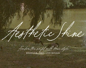 Aesthetic Shine Handwritten Script