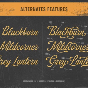 May include: A graphic design image showing different alternate features for the font "Blackburn" with the words "Blackburn", "Mildcorner", and "Grey Lantern" written in the font. The image shows the different alternate features for the font, such as the different ways the letters can be written.