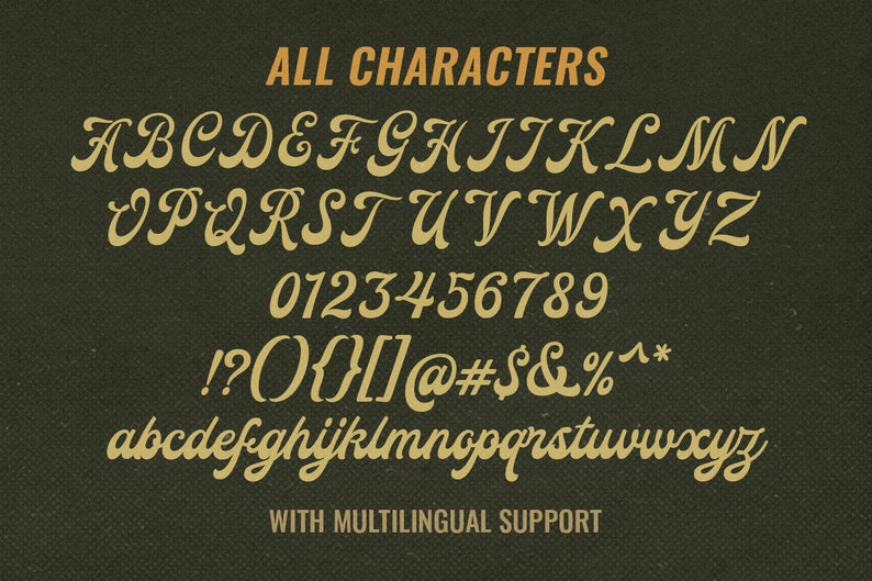 Badalona Display Script Font: Bold Retro Groovy Font - Etsy