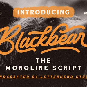 Op de afbeelding: Introductie van Blackbear, een monoline-schrijfschrift, handgemaakt door Letterhend Studio. Het lettertype wordt in oranje weergegeven tegen een zwart-witte achtergrond met een berenkop.