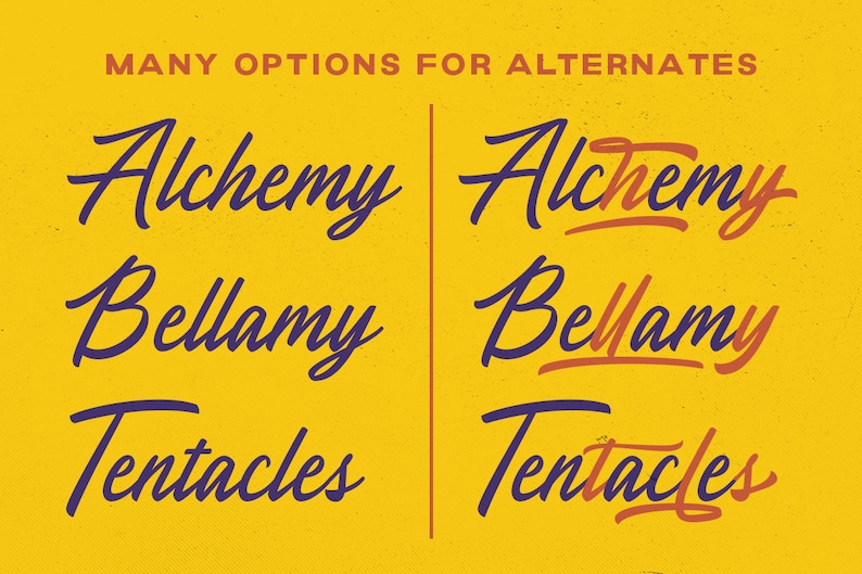 Moradine - Script, Handwriting, Casual, Modern, Calligraphy, Typography ...