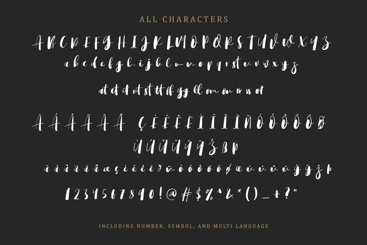 Bigstorm Script Font: Modern Calligraphy, Hand Lettering - Etsy