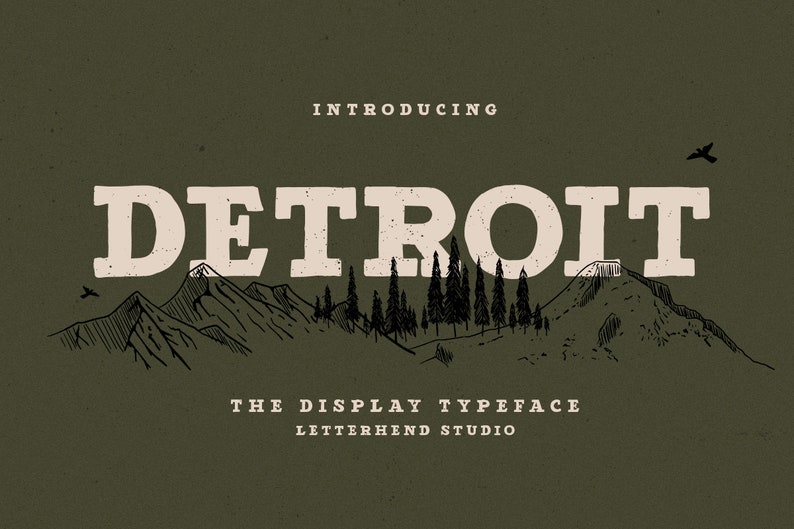 Detroit Slab Serif Font: Bold Display Typeface - Etsy
