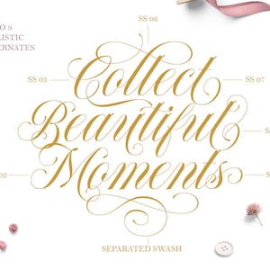 May include: Gold calligraphy font with the text "Collect Beautiful Moments" with nine stylistic alternates shown. The text is separated by a decorative flourish.