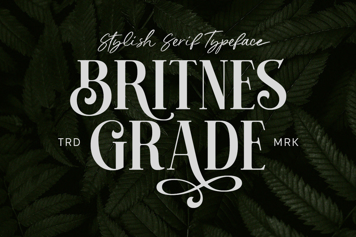 Britnes Grade Serif Font: Stylish Swash Typeface
