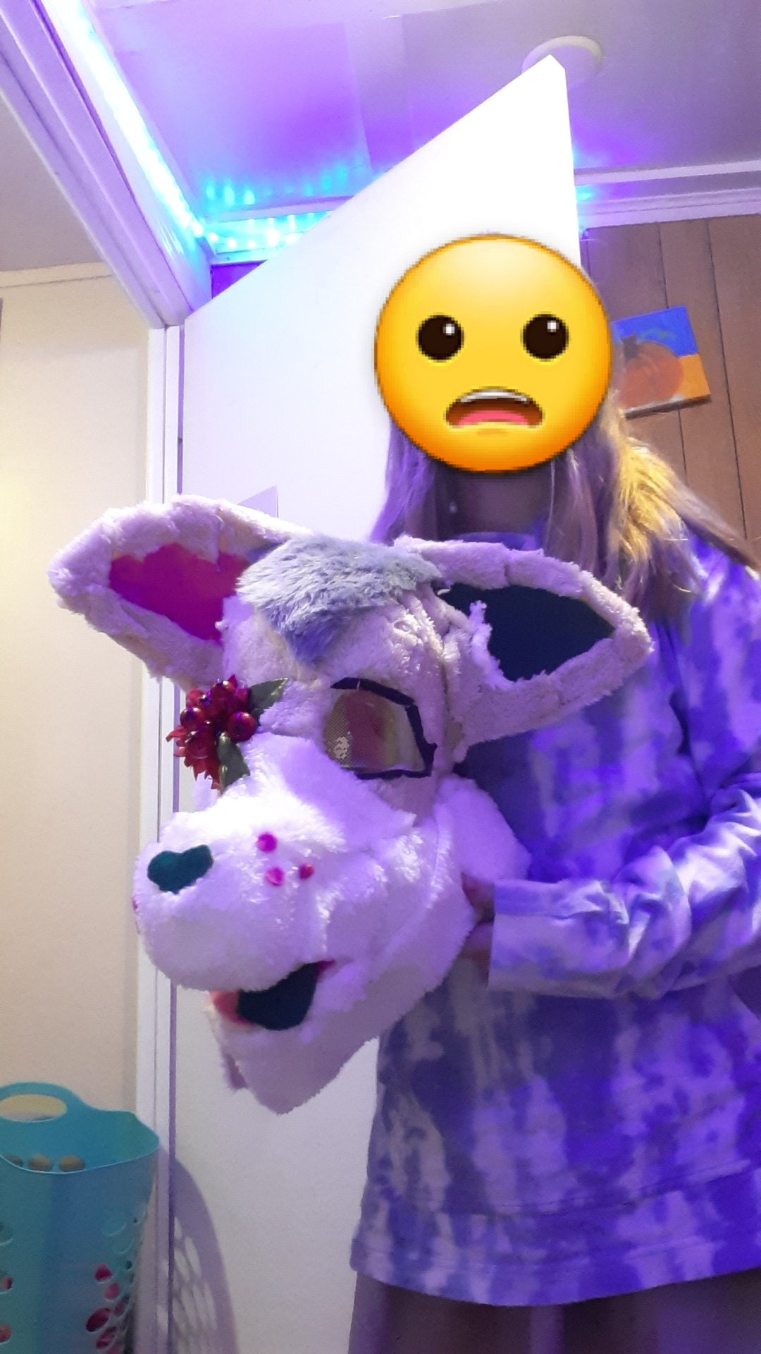 Fixer-oberer Fellanzug Kopf und Schwanz : lesen desc | Etsy