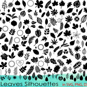 Pacote SVG de 200 folhas, clipart de folhas, folhas DXF, vetor de folhas, png de folhas, folhas svg, arquivos de corte de folhas, folha svg, outono svg, folhas de outono svg