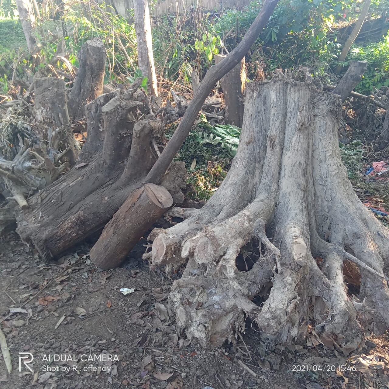 Solid TEAK Round Teak Root Dining Table High Quality Teak Etsy UK