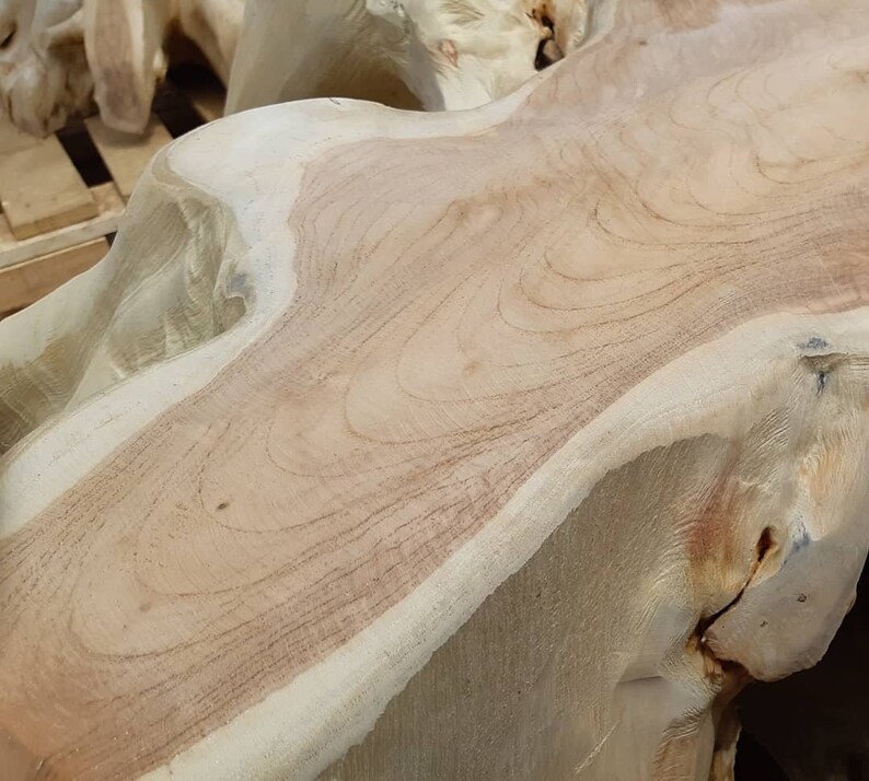 Modern Teak Root Coffee Table High Quality Teak From Etsy