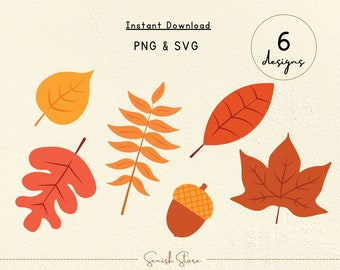 6 Fall Leaf Designs Svg & Png | Fall Leaf Bundle | Autumn Clipart | Acorns | Cut files for Cricut Silhouette | Halloween Svg Autumn Cut File