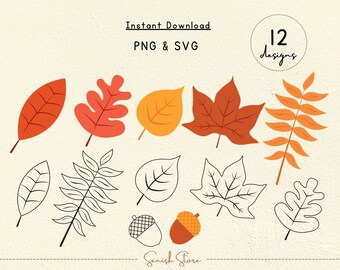12 Fall Leaf Designs Svg & Png | Fall Leaf Bundle | Autumn Clipart | Acorns | Cut files for Cricut Silhouette | Halloween, Autumn Cut File