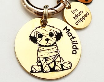 Personalised Holloween Dog Tag Engraved, Personalized Spooky Dog ID Tag, Cute Halloween Pumpkin Pet Tag with Charms, Stainless Steel Pet Tag