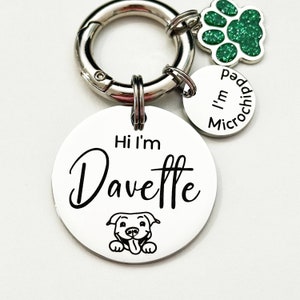 Round Dog Tag by Breed for Collar: Personalised Engraved Stainless Steel Pet ID, Gold Silver with Microchipped and Charm, Puppy Gift