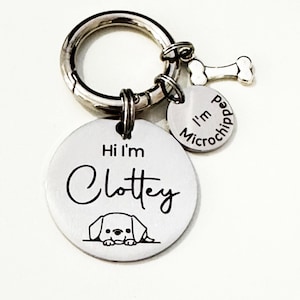 Dog Tag Engraved Stainless Steel: Personalised Pet ID for Collar, Ten Year Guarantee, Gold Silver Rose Gold with Microchipped Disc and Charm