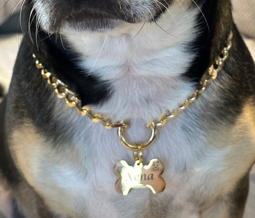 Custom Cuban Chain Link Dog Collar Necklace With Dog Tag Dog Etsy