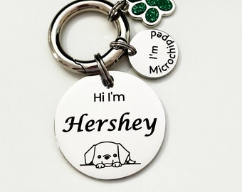 Round Stainless Steel Dog Tag for Collar: Personalised Pet ID S-XL in Silver Gold  with Microchipped Disc and Charm, Ten Year Guarantee