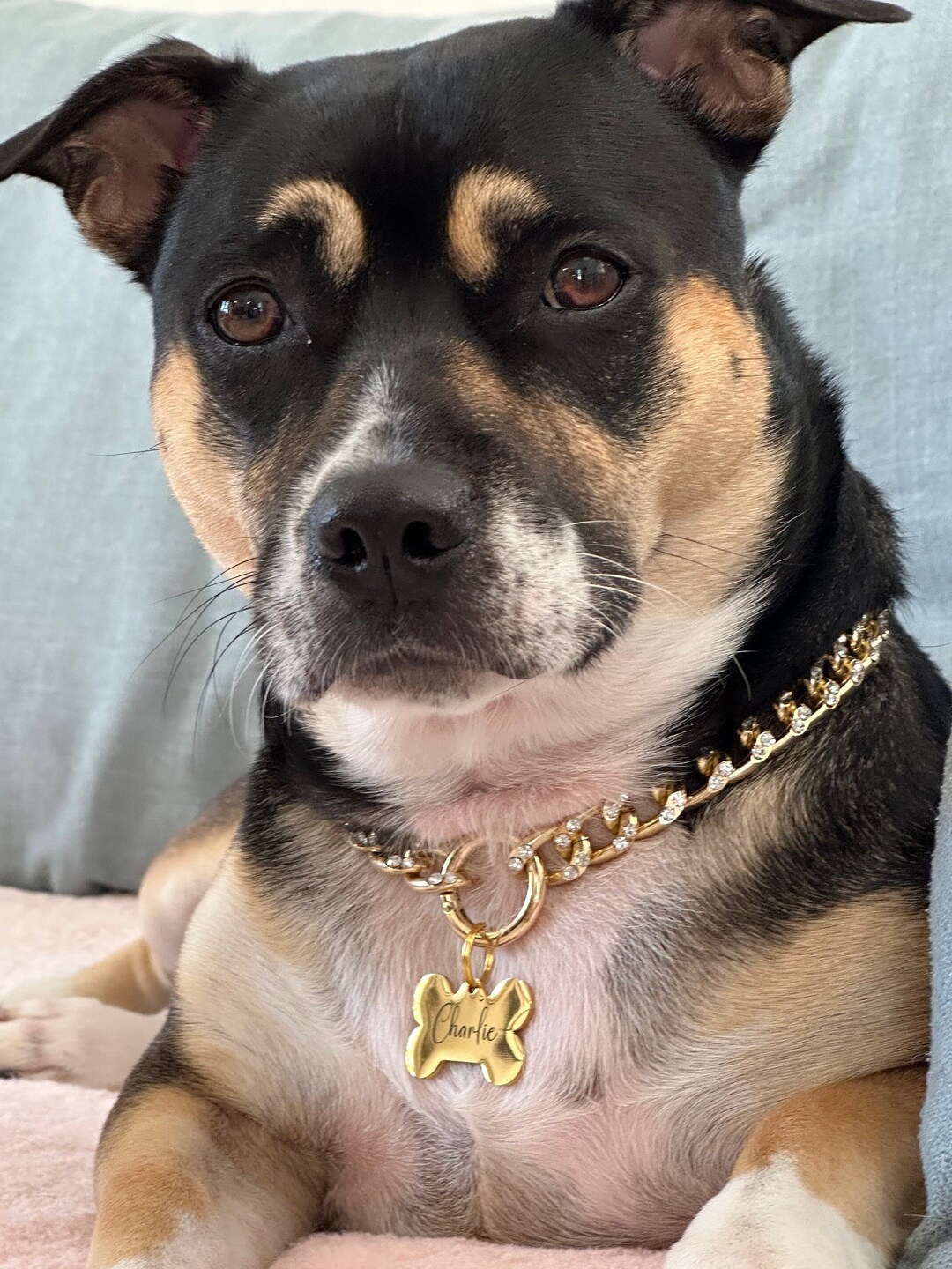 Lightweight Dog Chain Collar Custom Dog Chain Necklace Dog Etsy