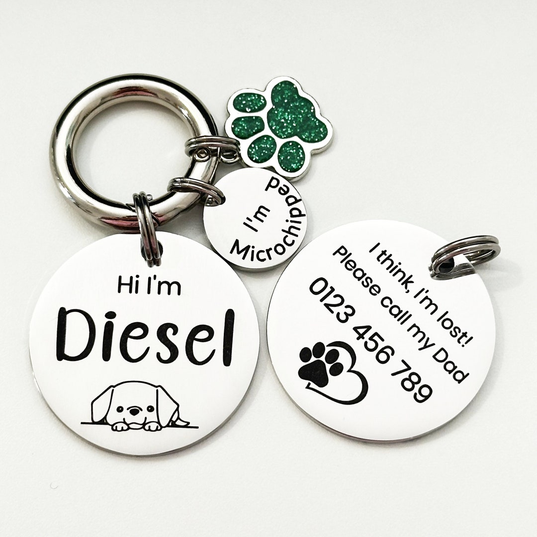 Pet ID Tag Engraved Stainless Steel: Personalised Silver Gold Metal Dog ...