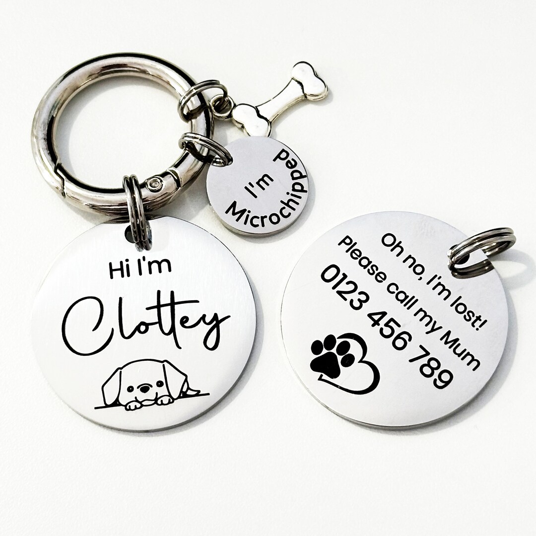 Dog ID Tag Engraved Stainless Steel, Personalized Pet Name Plate for ...