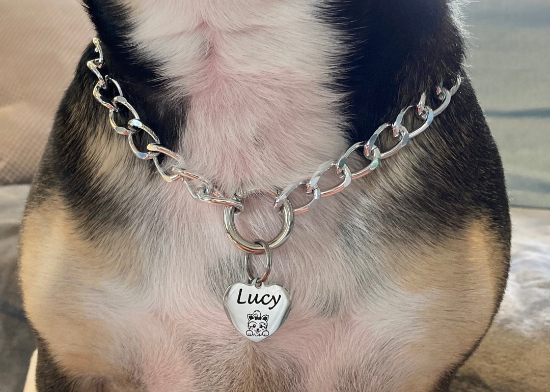 Personalised Chain Link Dog Collar Necklace Dog Necklace for Etsy