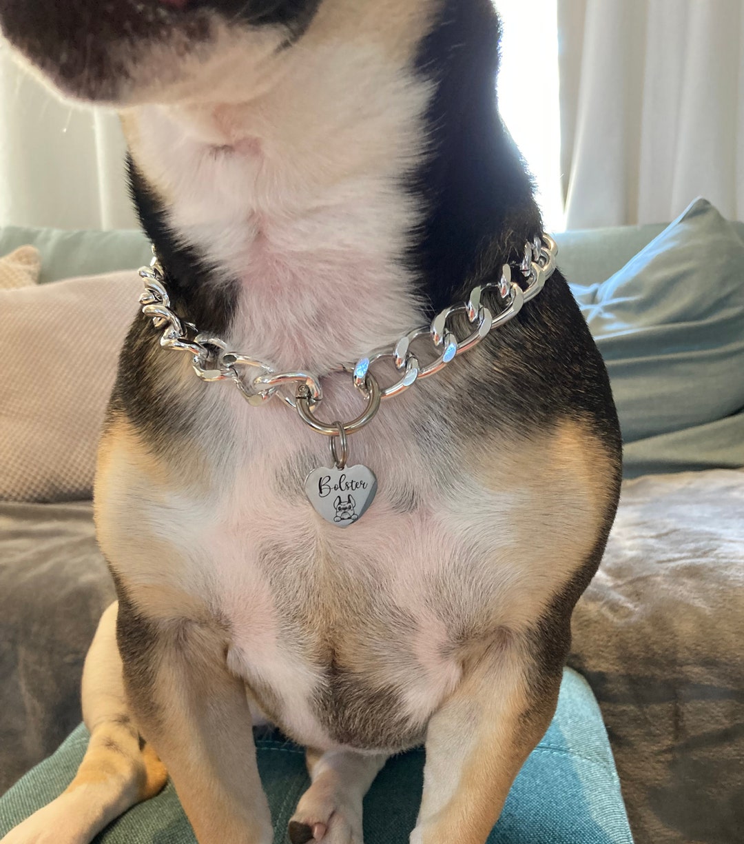 Personalized Chain Link Dog Collar Necklace Dog Necklace for Etsy