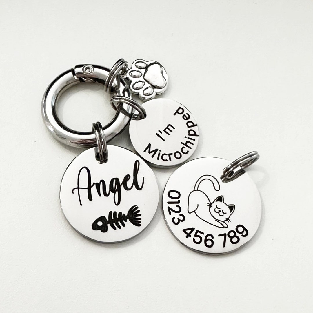 Cat Identification Tags Engraved Stainless Steel Cat ID Tag: Personalized Pet Tag in Gold ...