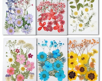 US Stock!Dried flat flower，Resin Art,pressed flowers leaf mixed set, Resin Jewelry, resin crafts, resin art ,DIY floral jewelry UV resin art