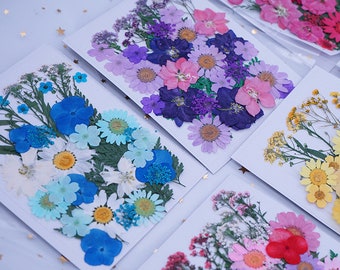 US Stock!Pressed Dried Flower Dry Plants for Resin Art, leaves Mixed set/DIY Craft/Accessories,floral jewelry UV Resin,pink purple white red
