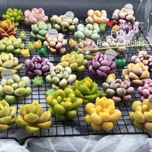 May include: An assortment of colorful succulent-shaped resin molds in various sizes and hues, including green, yellow, pink, and purple. The molds are arranged on a black wire rack. The text "FYPM Resin & Molds" is visible.