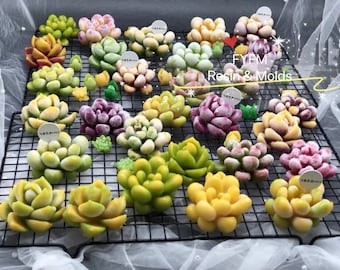 US Stock! Succulent silicone Mold, Plant Silicone Fondant Mold, 3D Succulent Candle Mold ,Soap molds, Succulent Fondant Mold, Cactus Mold