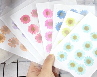 May include: Assortment of dried flower petals in various colors, including pink, blue, yellow, and light blue. The petals are arranged on white sheets of paper and are ready for crafting projects.