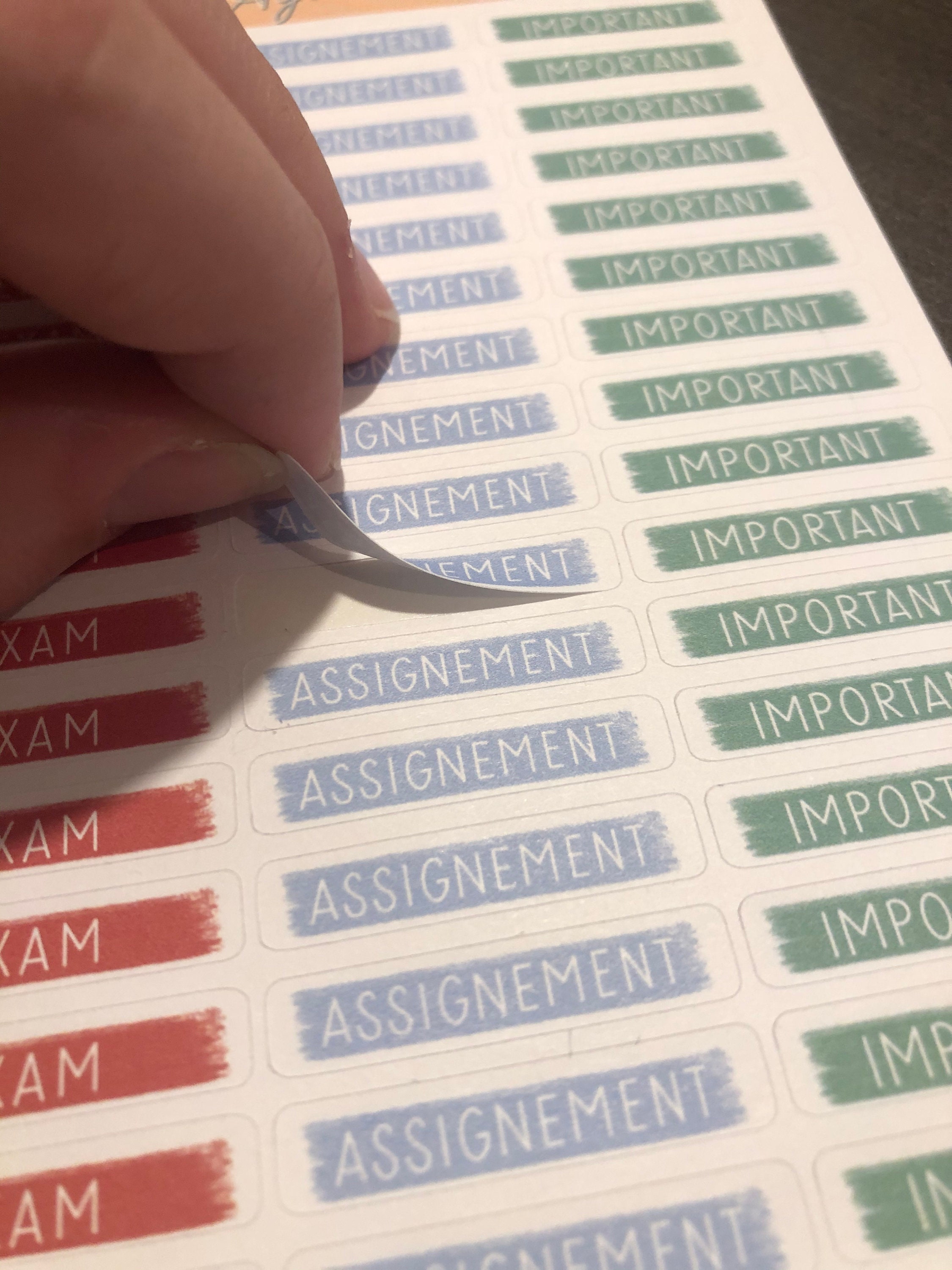 Student sticker sheet 48 planner sticker agenda calendar | Etsy