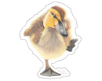 Cute Sassy Runnding Duckling, New Zealand Grey Duckling, on Kiss-Cut Stickers Three Sizes