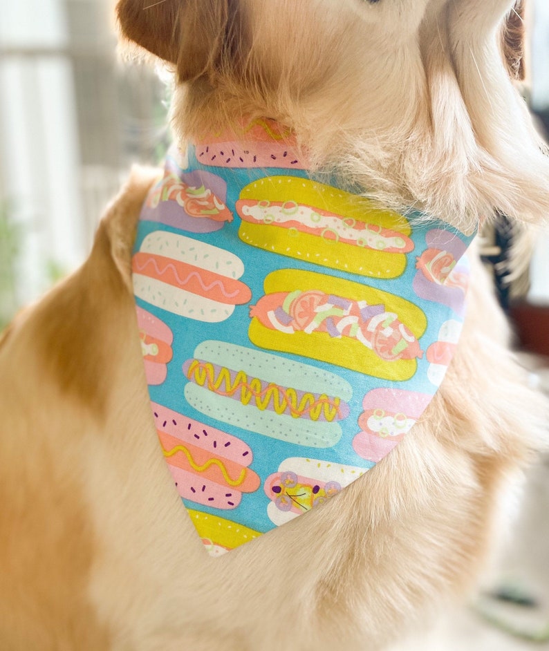 funky dog bandanas
