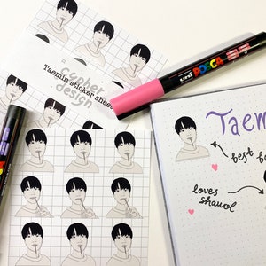 SHINee Taemin, Aufkleberbogen, K-Pop Aufkleber, SHINee Aufkleber, Geschenk für kpop, Pocky Aufkleber, Bujo Lieferungen, Kpop Aufkleberflocken, Lee Taemin