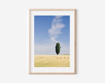 Landschaft mit Zypressen: Italien Italien Fotografie (Digitaler Download)