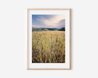 Italien Weizenfeld Sonnenuntergang Bild: Boho Landschaft Fotografie (Digitaler Download)