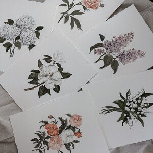 Sei acquerelli botanici originali / Collezione Flourish / Floreale vintage, Design classico, Arte senza tempo, Dipinti a mano, Belle arti, Natale