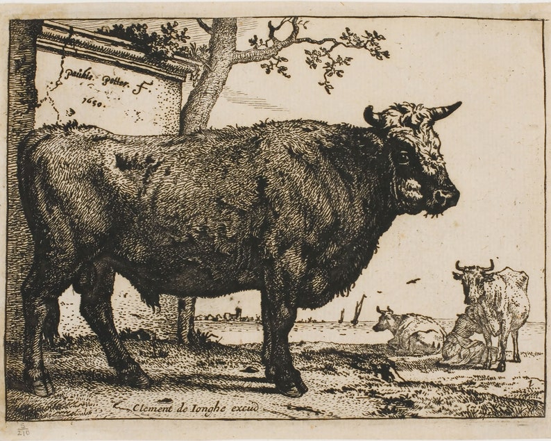 Bull Pencil Drawing Sketch Vintage Wall Art Bovine Sketch Etsy
