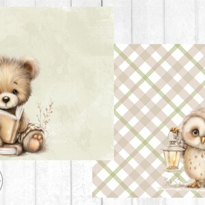 May include: A digital illustration features a teddy bear reading a book and an owl holding a lantern. The bear is light brown with a book in its paws. The owl is white and brown with a lantern. The background is a soft green.